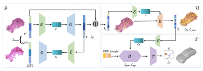 Self-supervised Shape Completion via Involution and Implicit Correspondences thumbnail